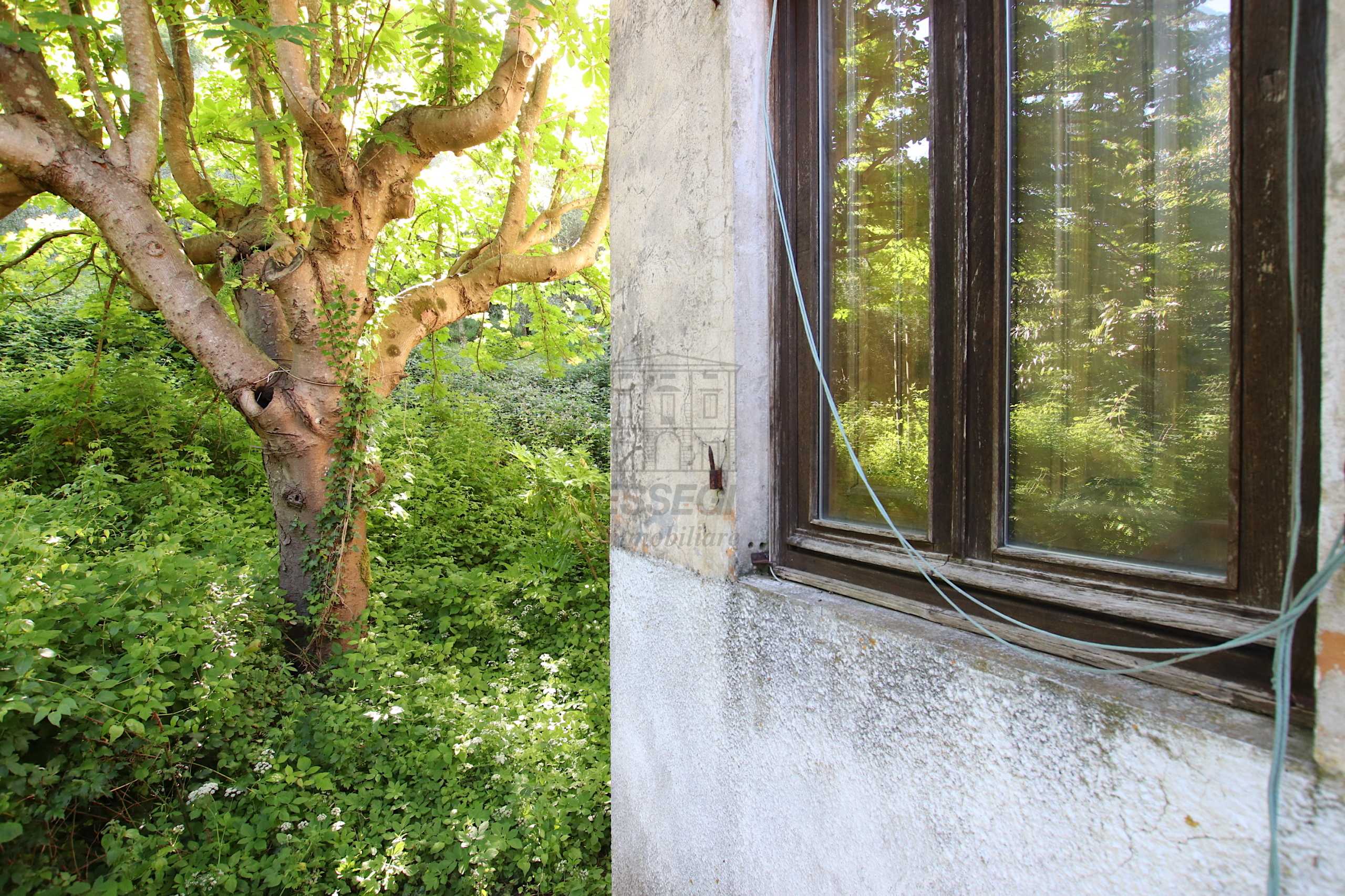  - foto 27