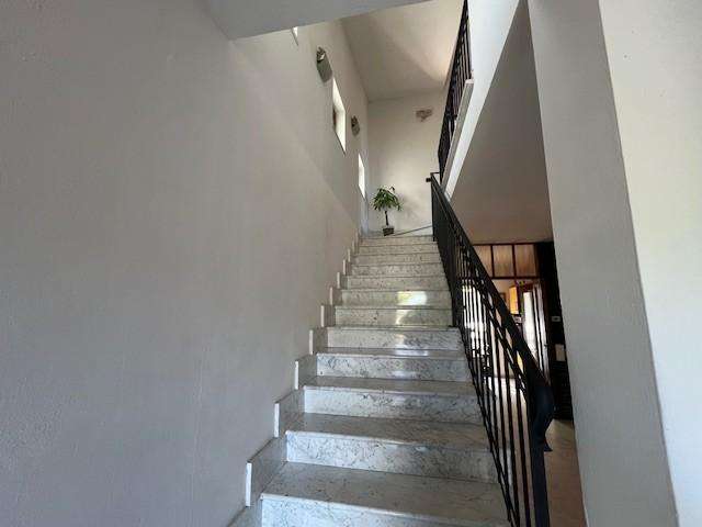  - foto 22