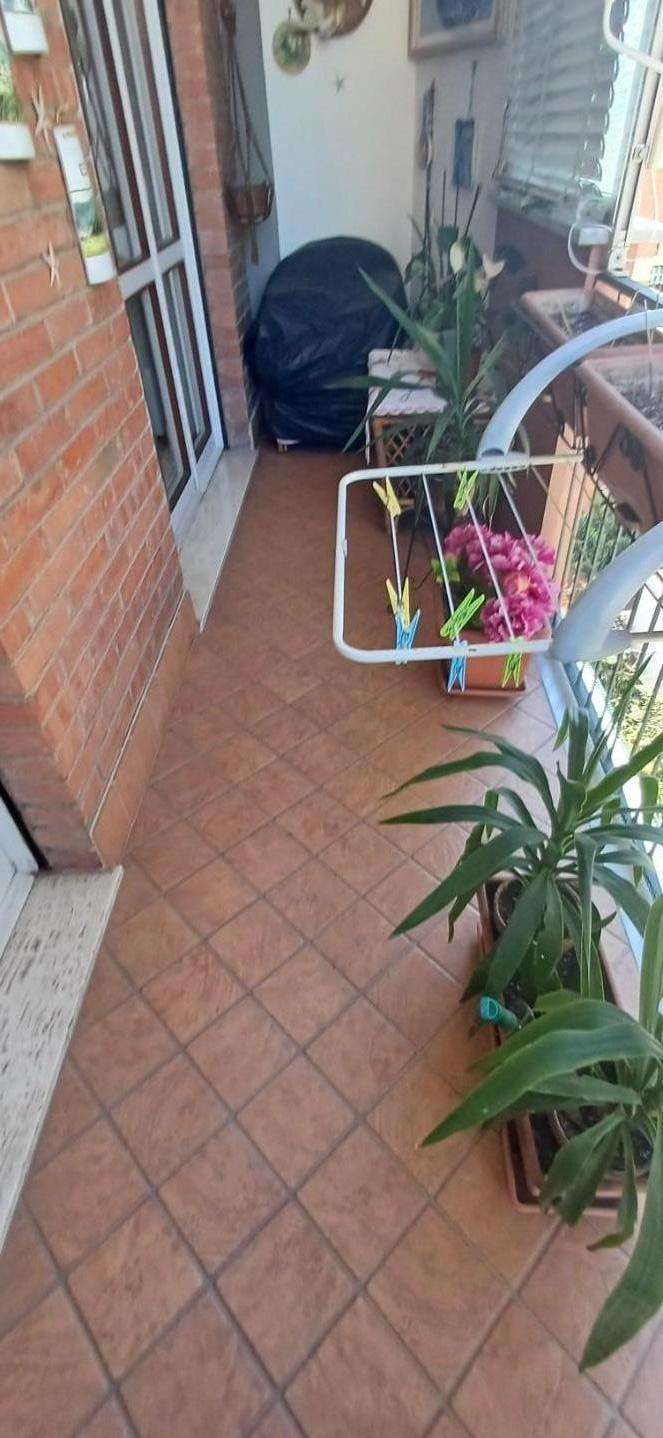  - foto 12