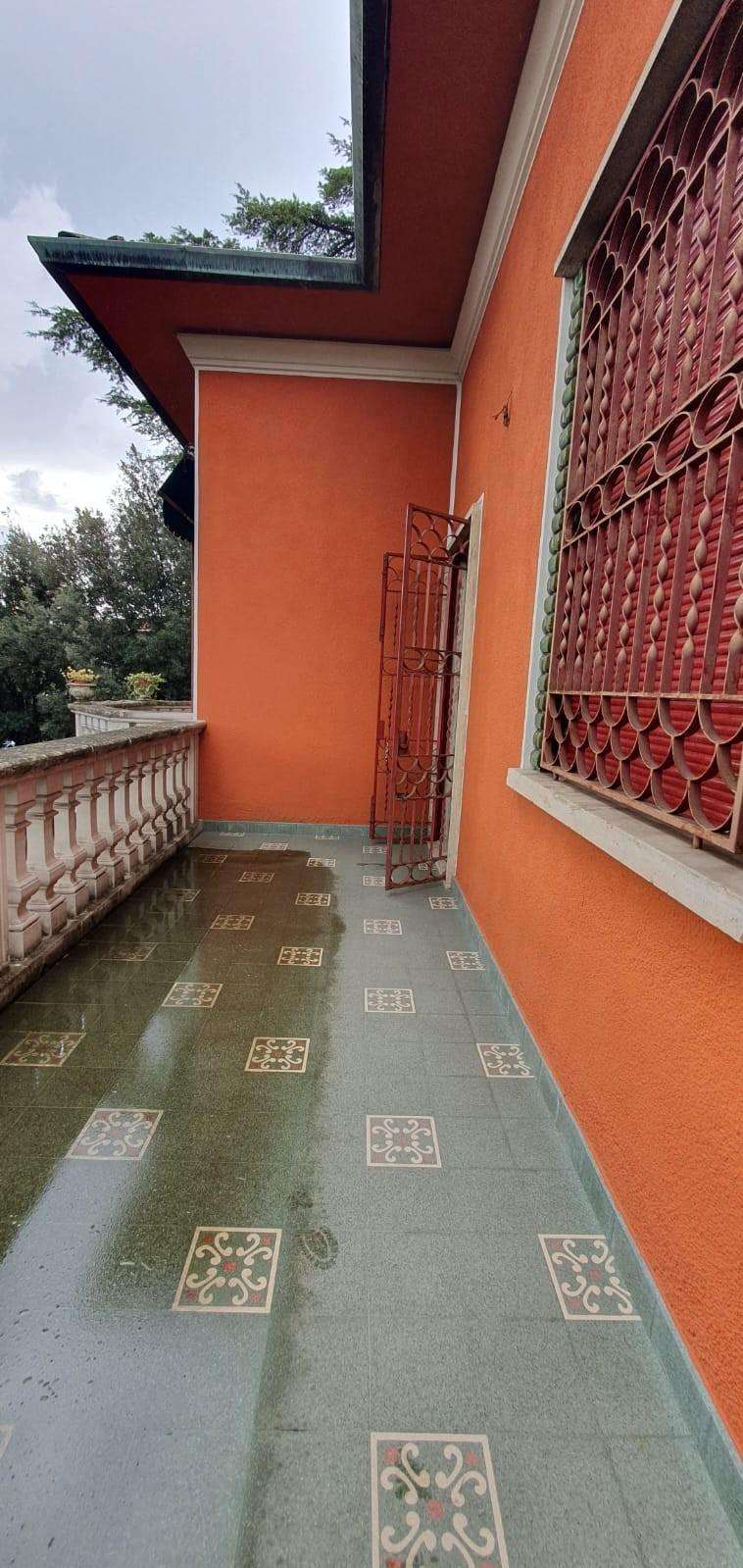  - foto 20