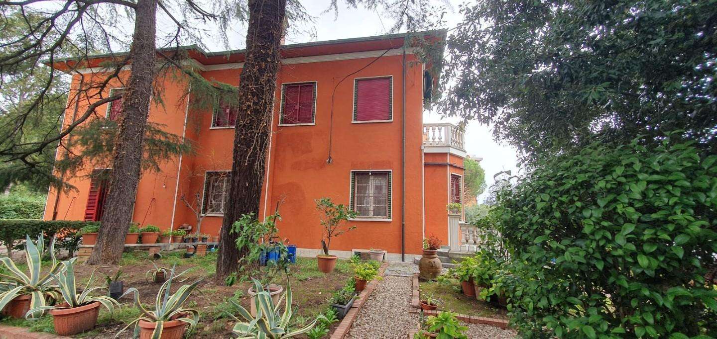  - foto 22