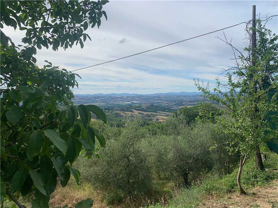  - foto 33