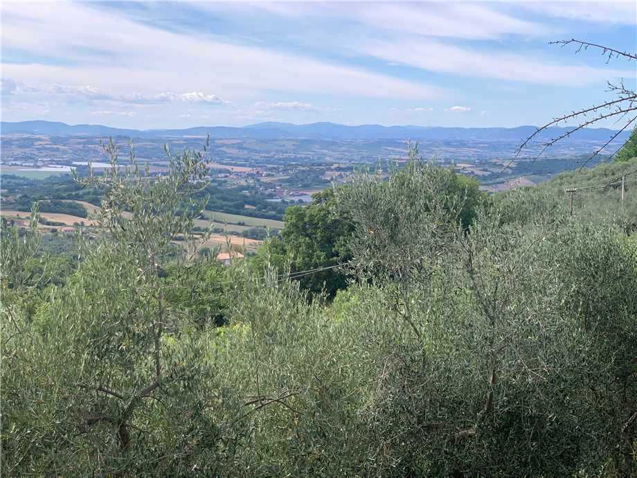  - foto 34