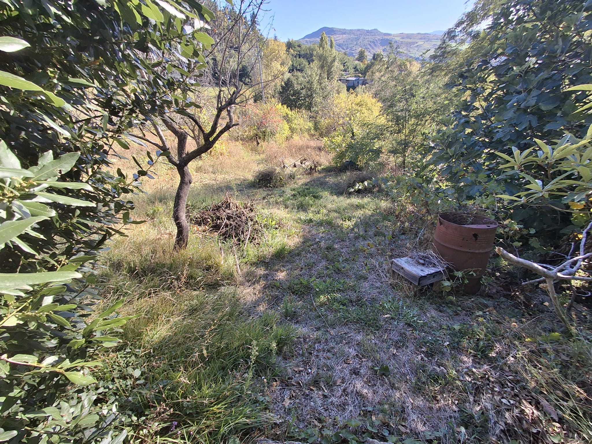  - foto 4