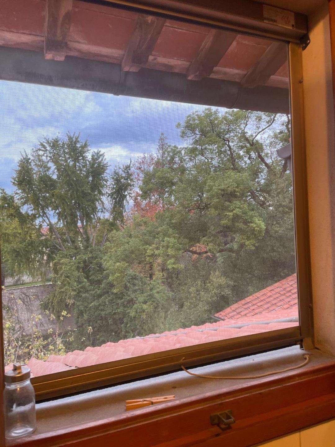  - foto 6