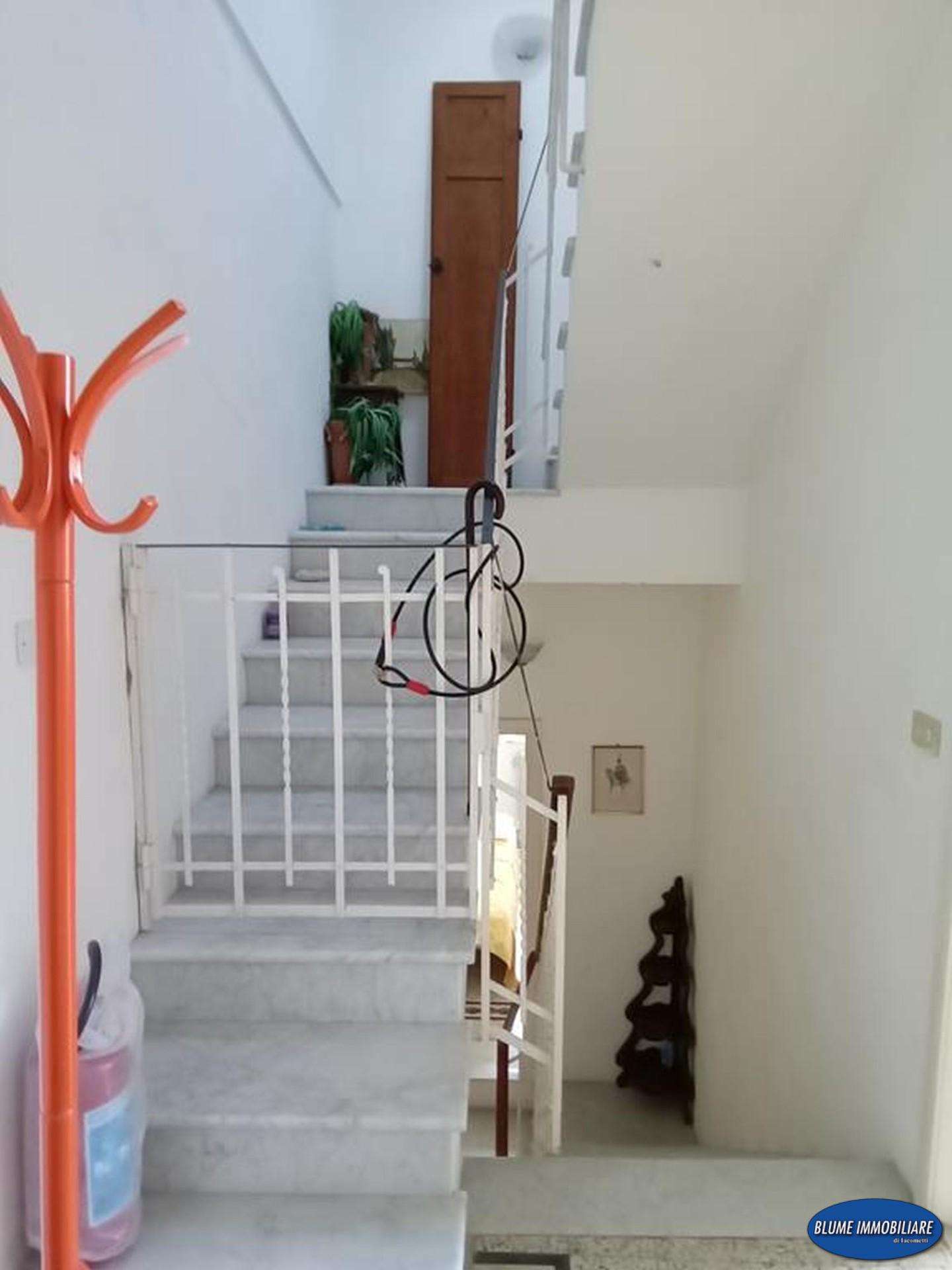  - foto 16