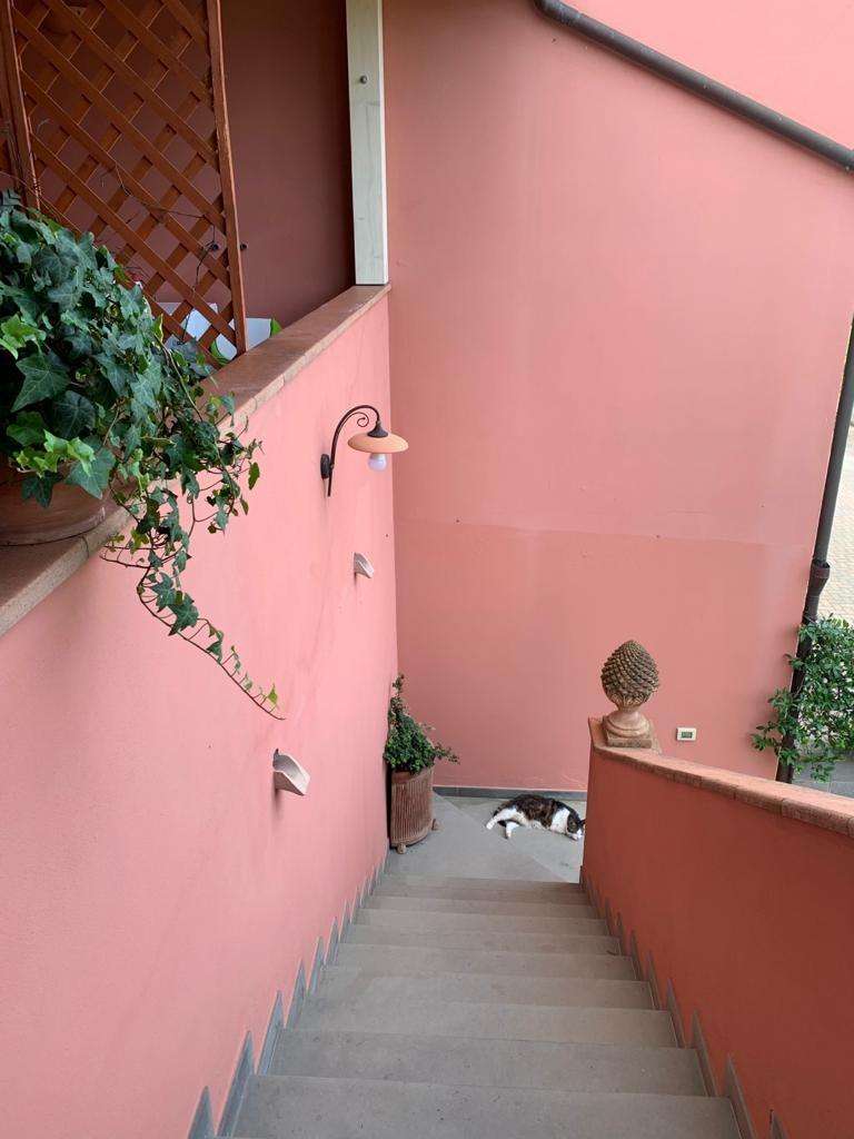  - foto 8
