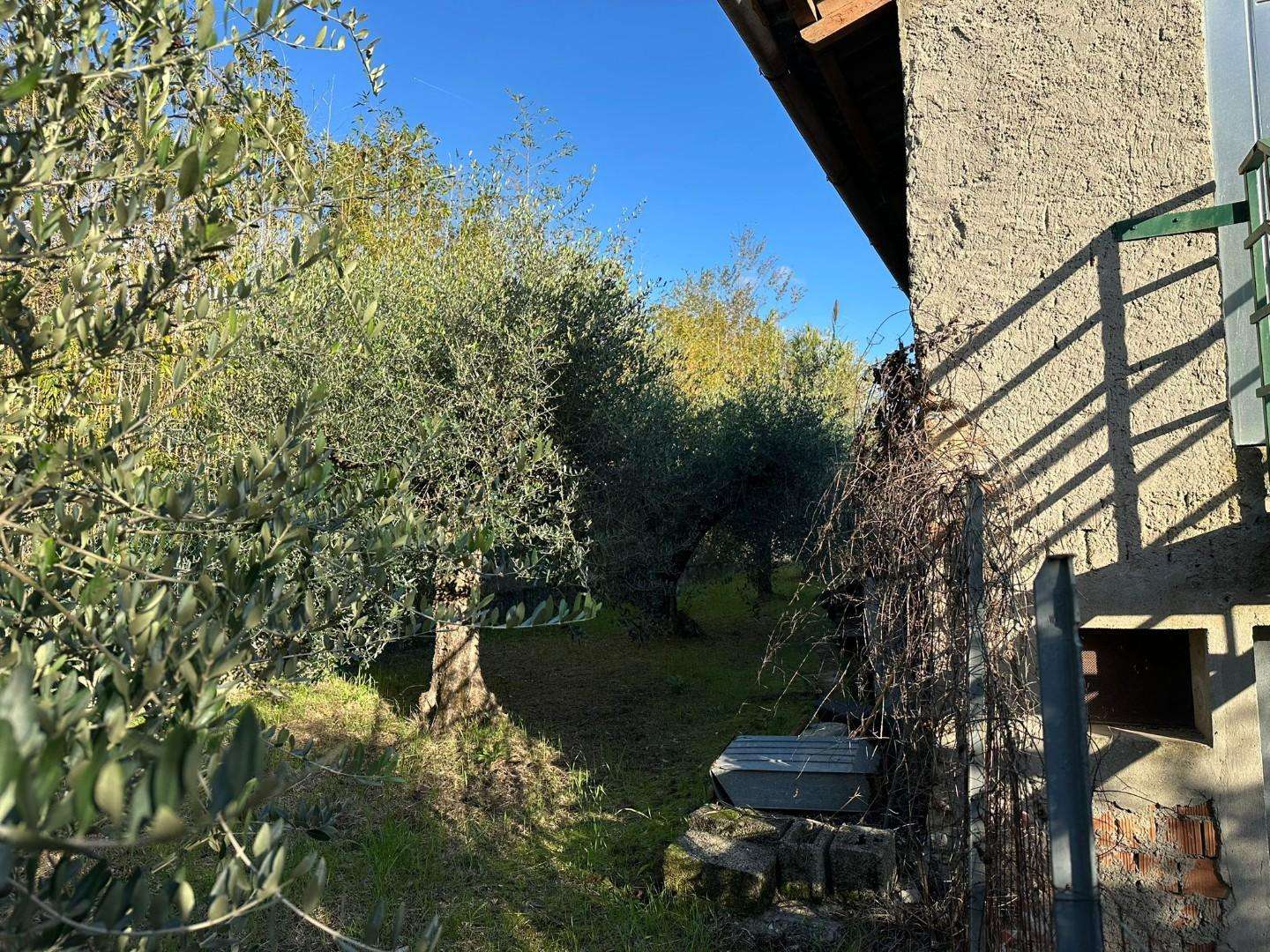  - foto 3