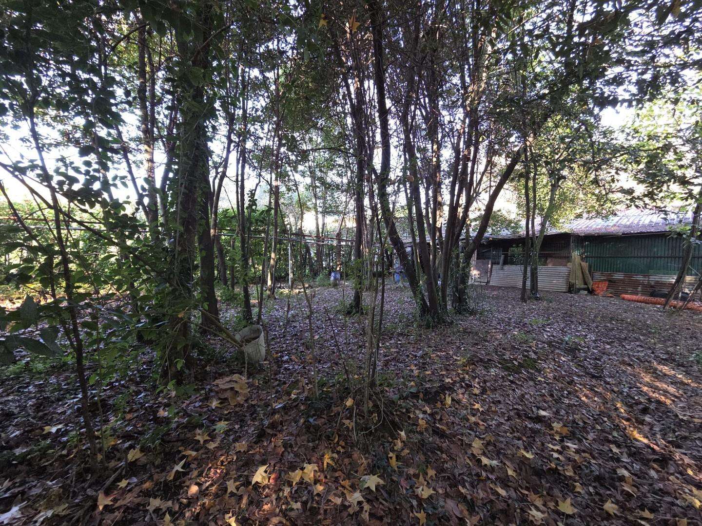  - foto 19