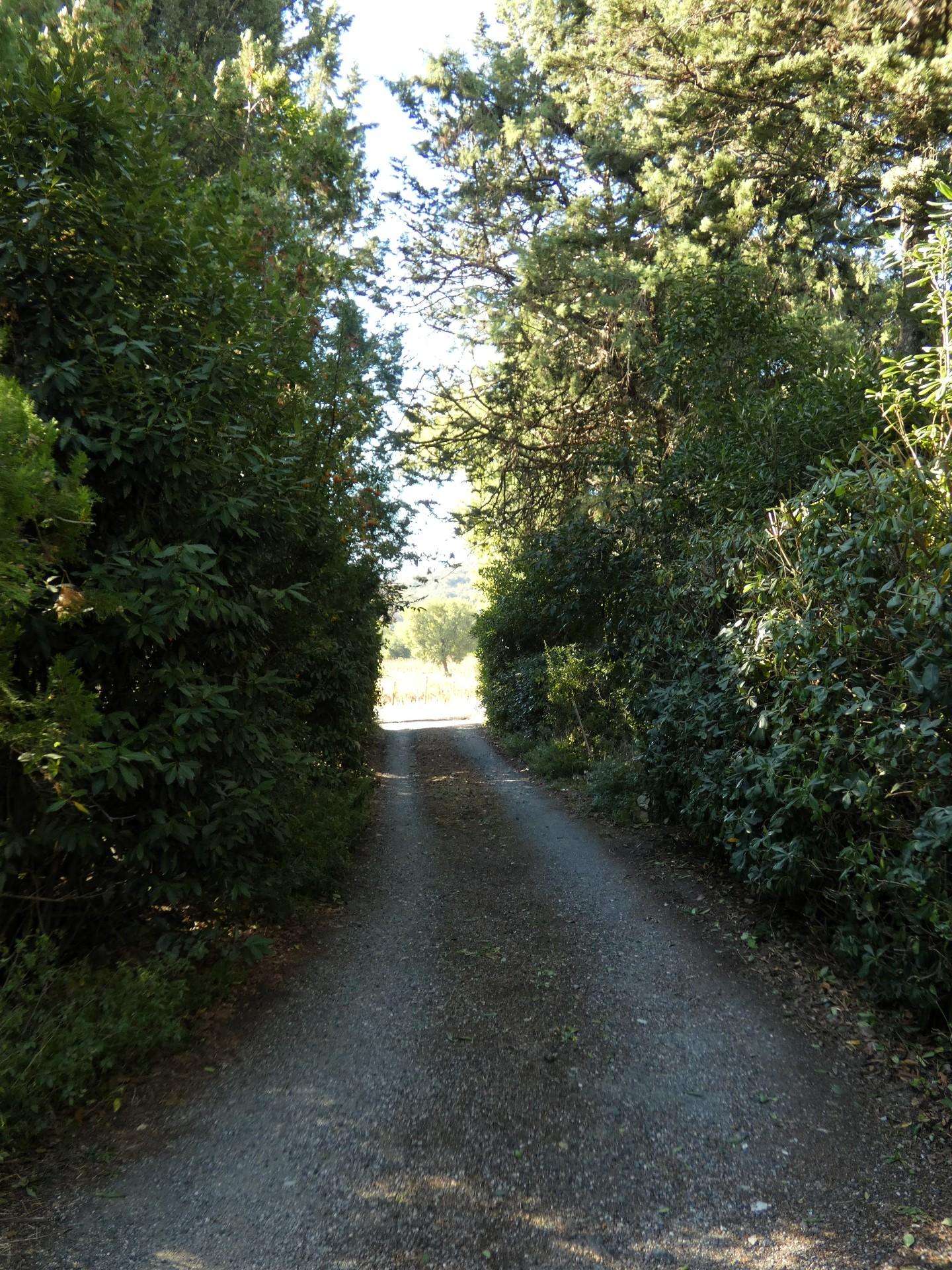  - foto 18