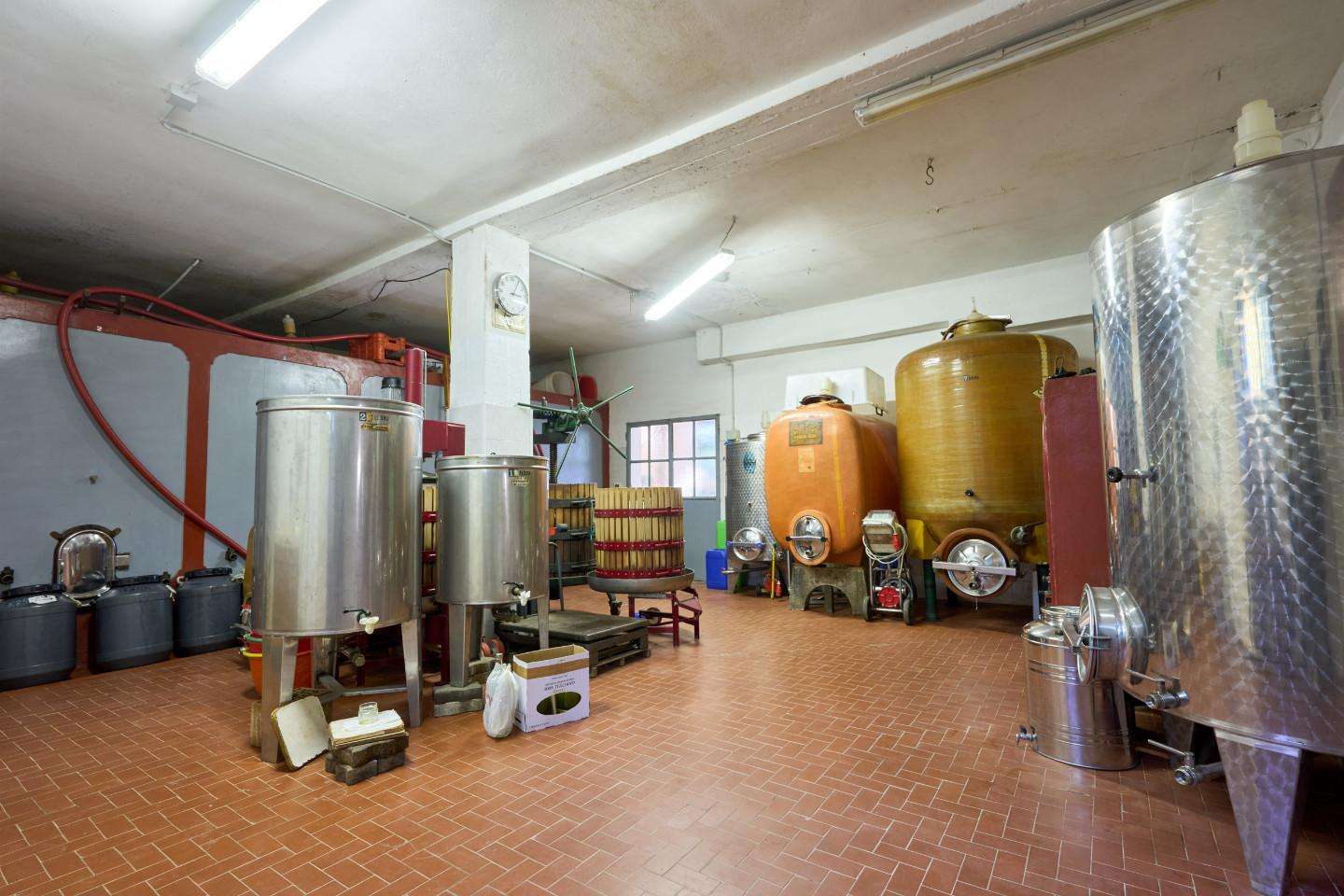  - foto 10