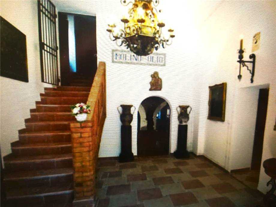  - foto 17