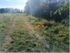Terreno agricolo VIA TELGATE, Palosco
