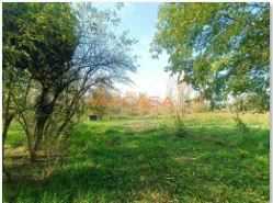  - foto 12