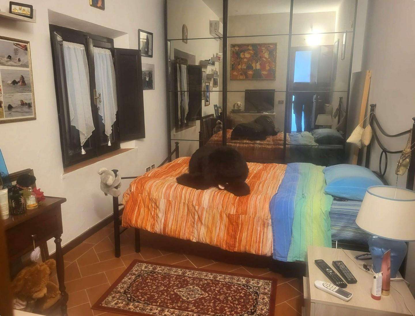  - foto 14