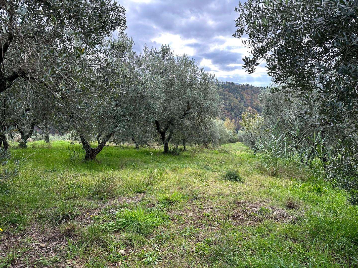  - foto 34