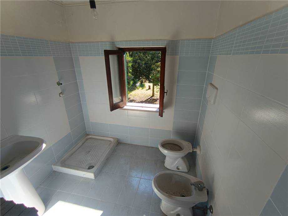  - foto 11