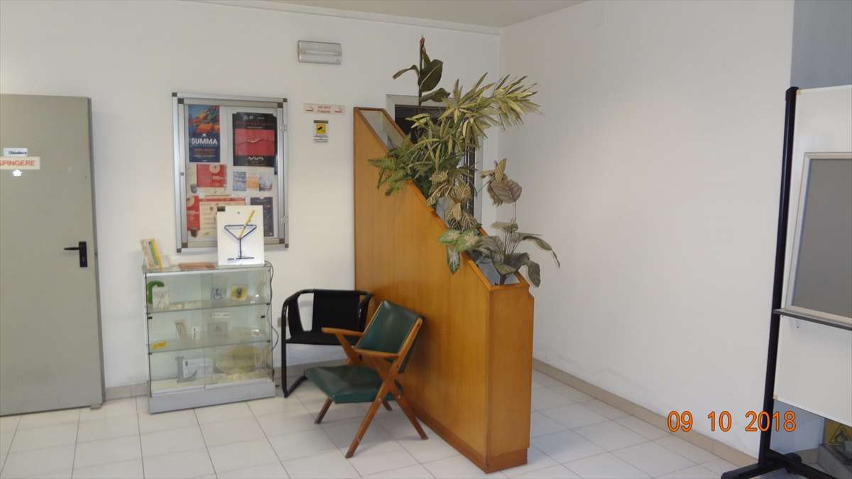  - foto 16