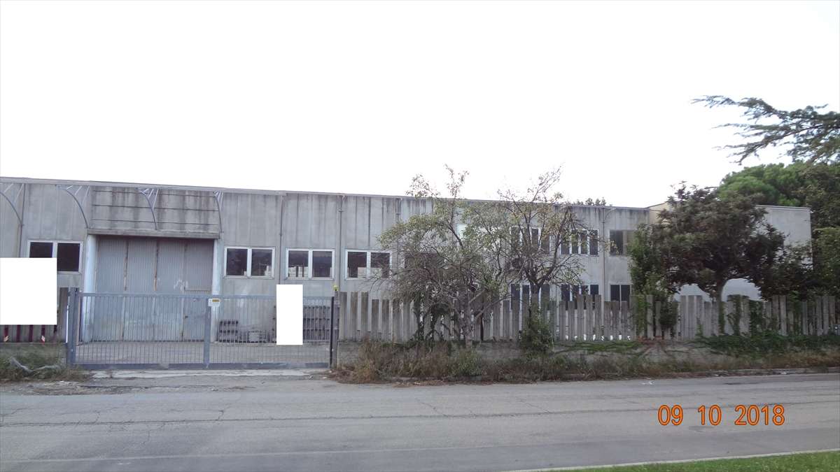  - foto 19