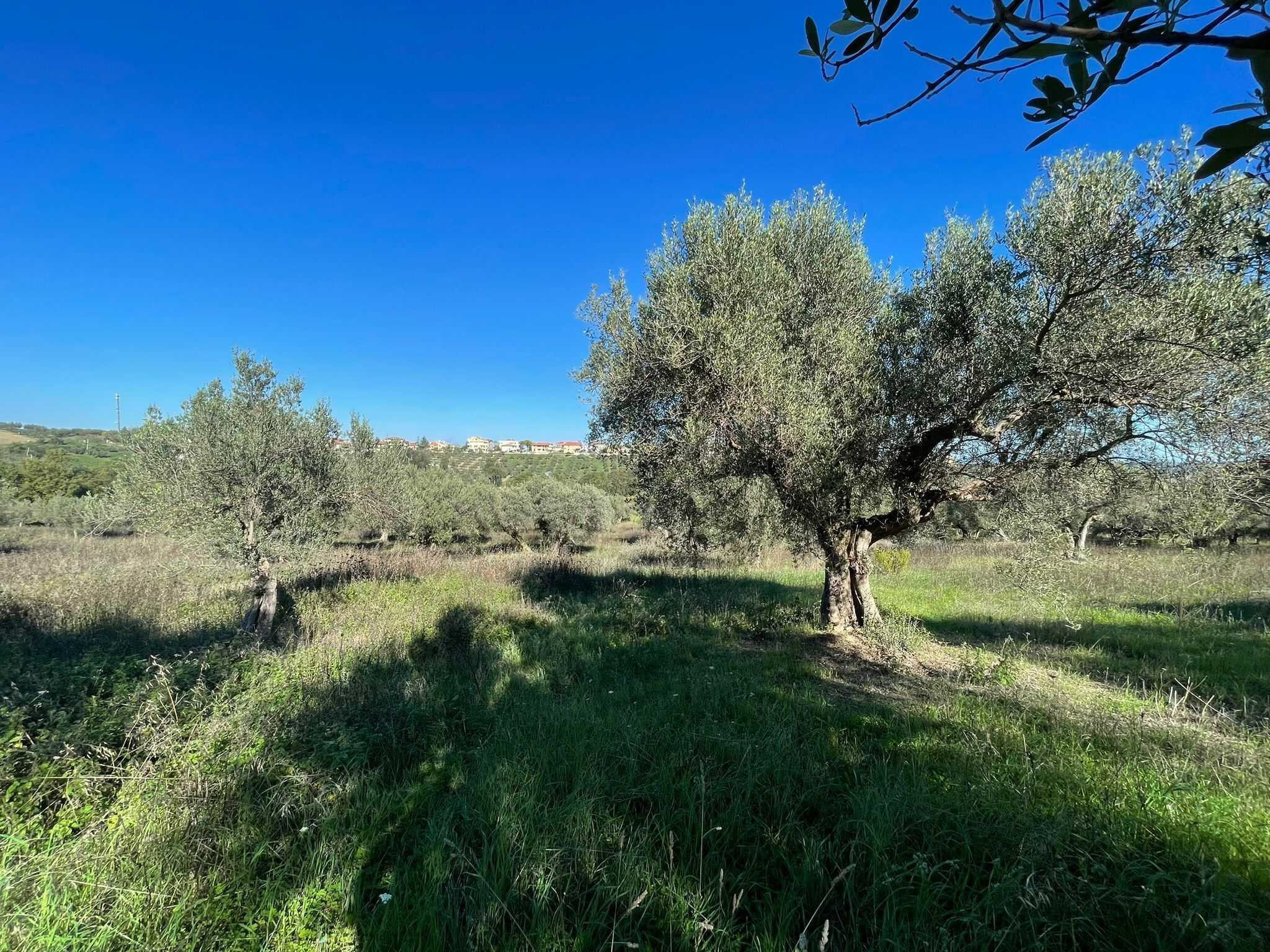  - foto 13