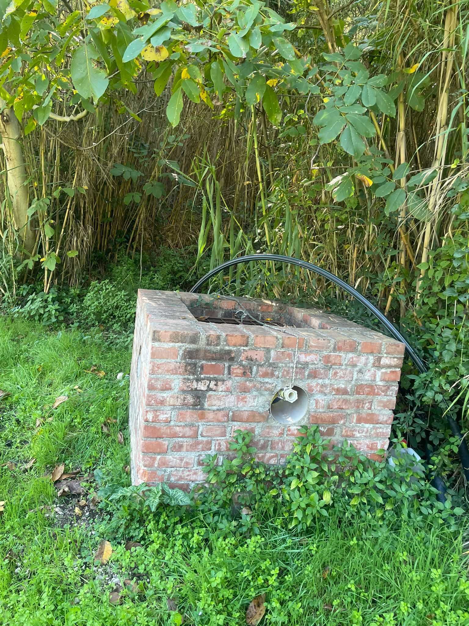  - foto 17