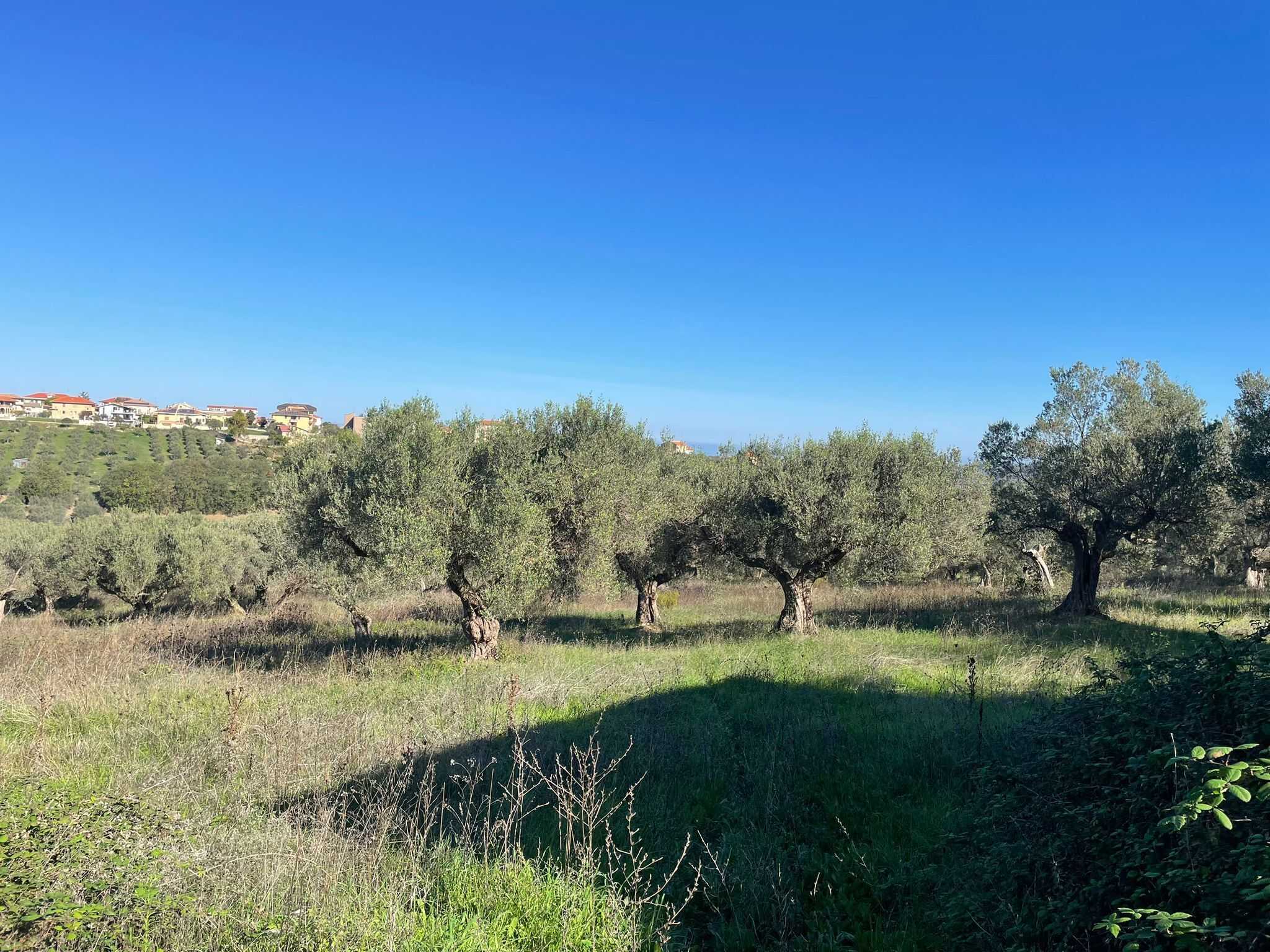  - foto 18