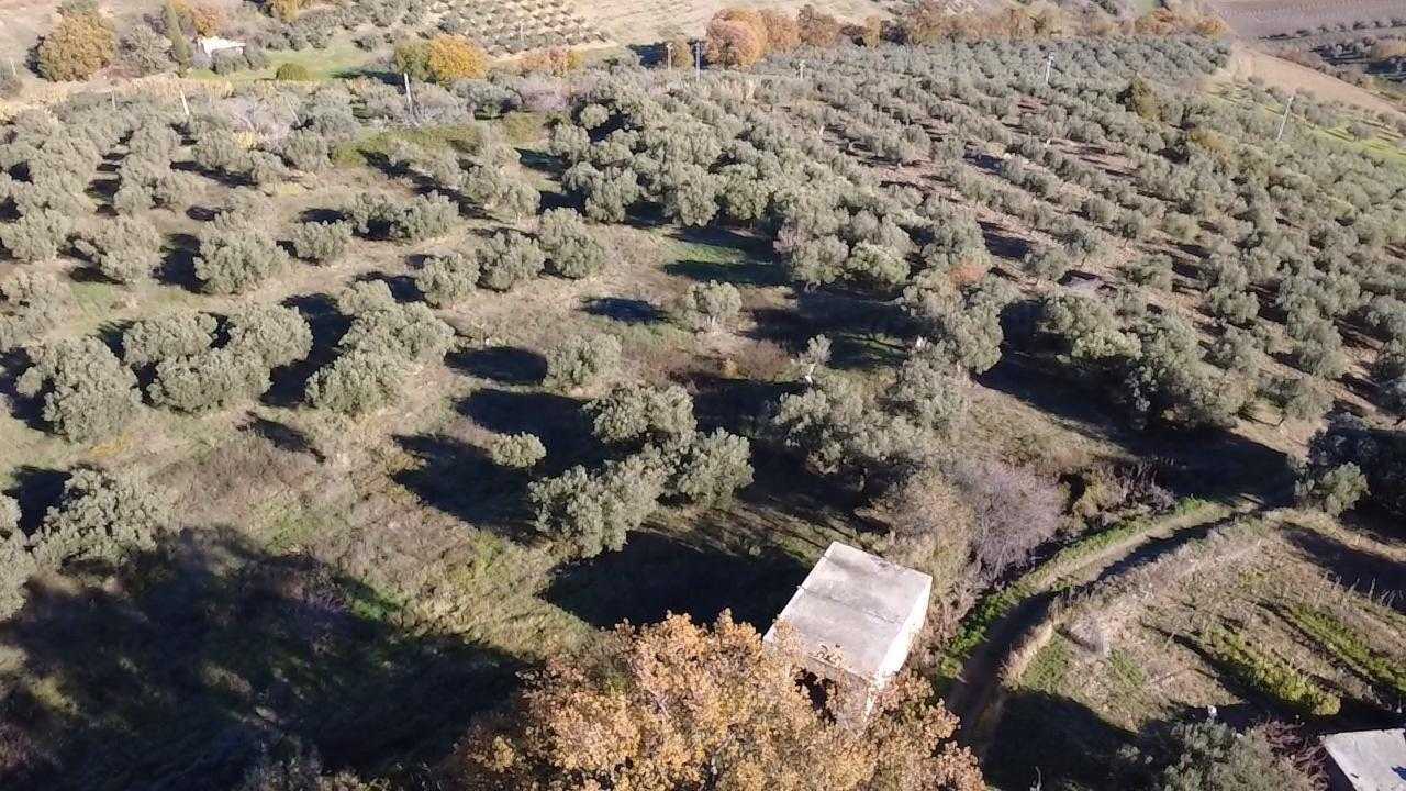  - foto 4