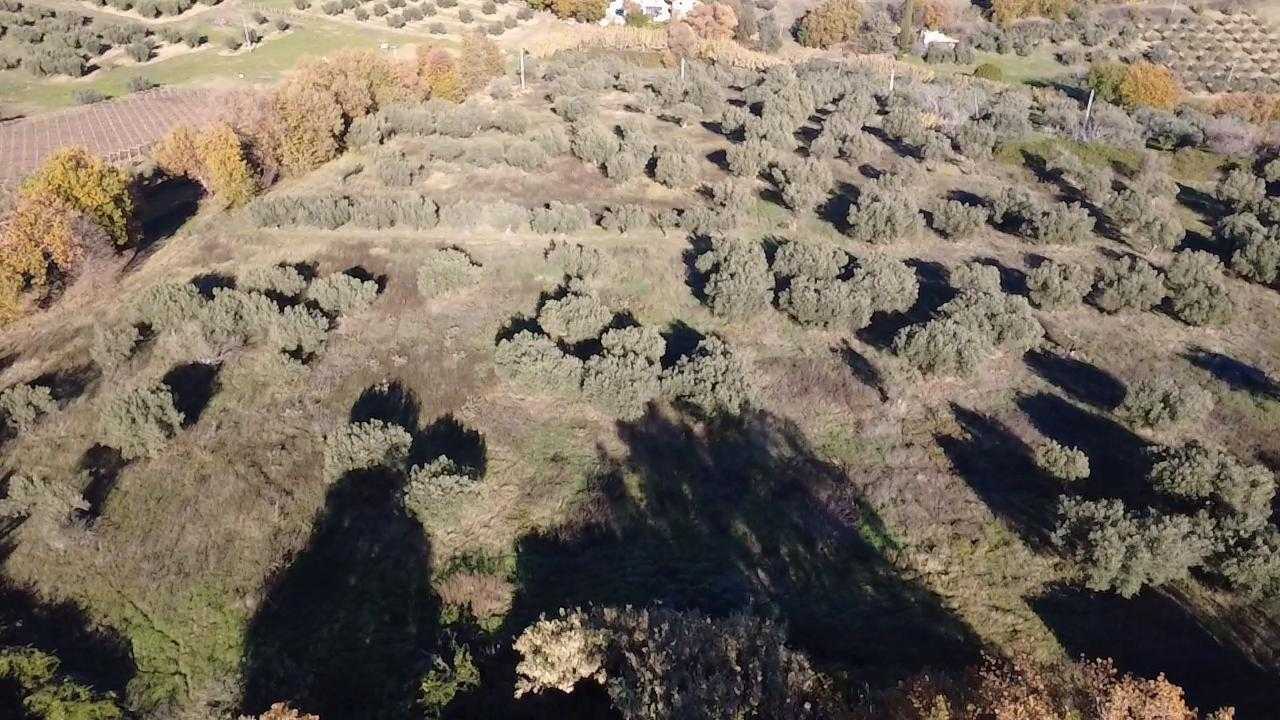  - foto 5