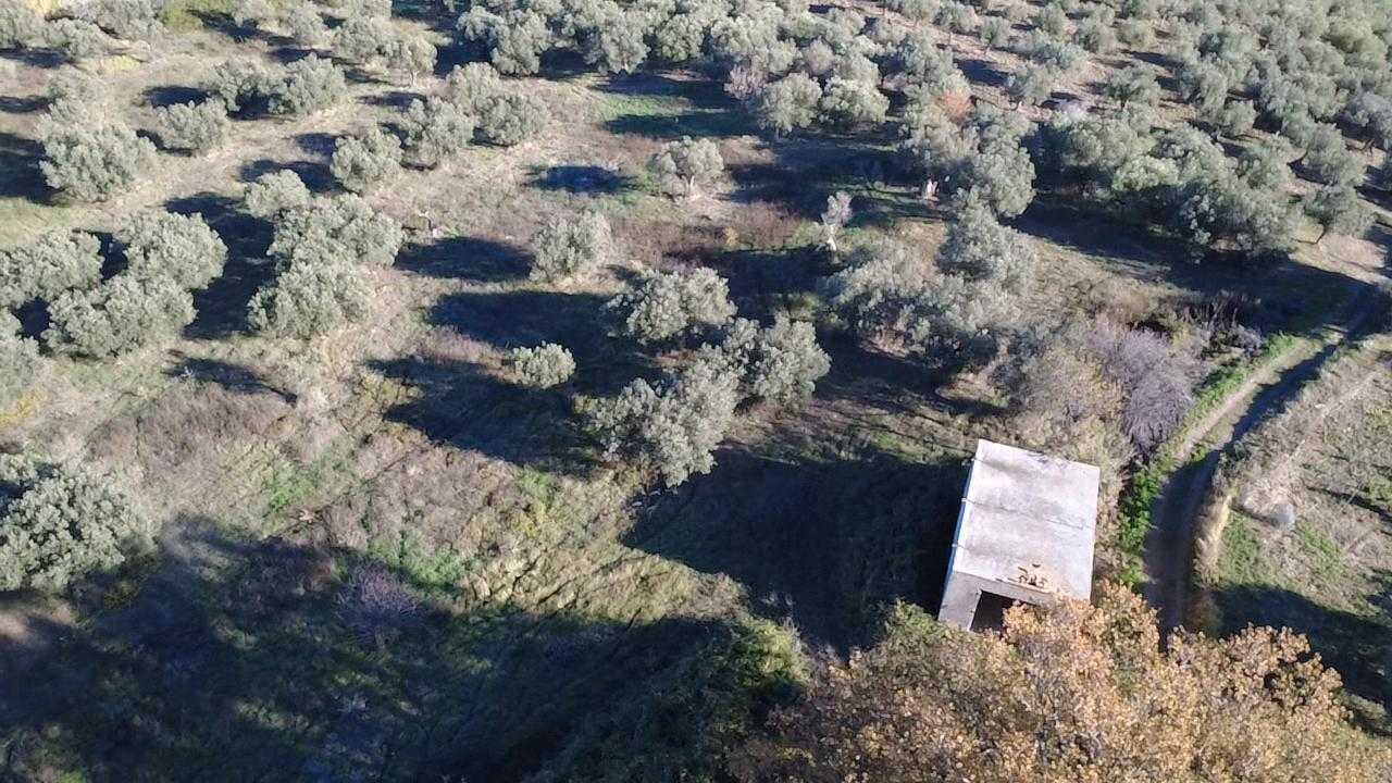  - foto 6