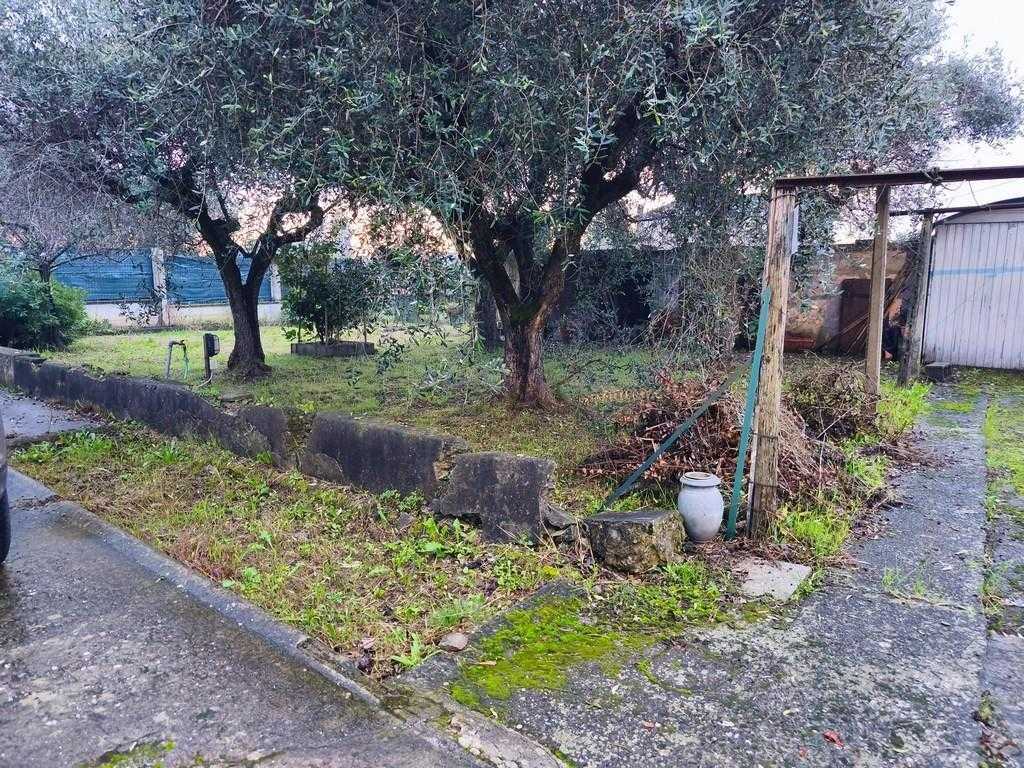  - foto 14