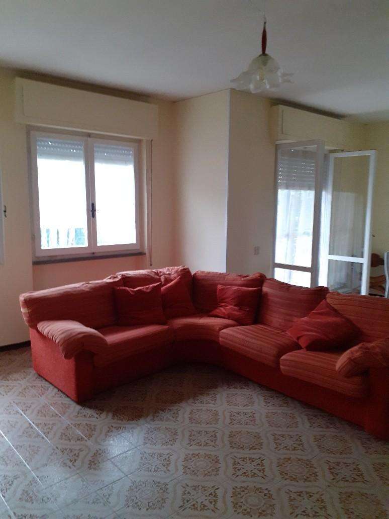 - foto 11