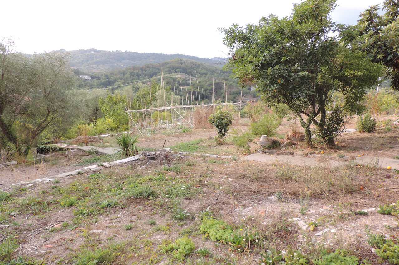  - foto 41