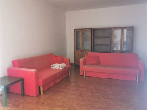  - foto 13