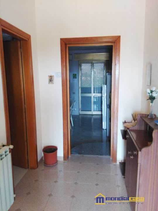  - foto 4