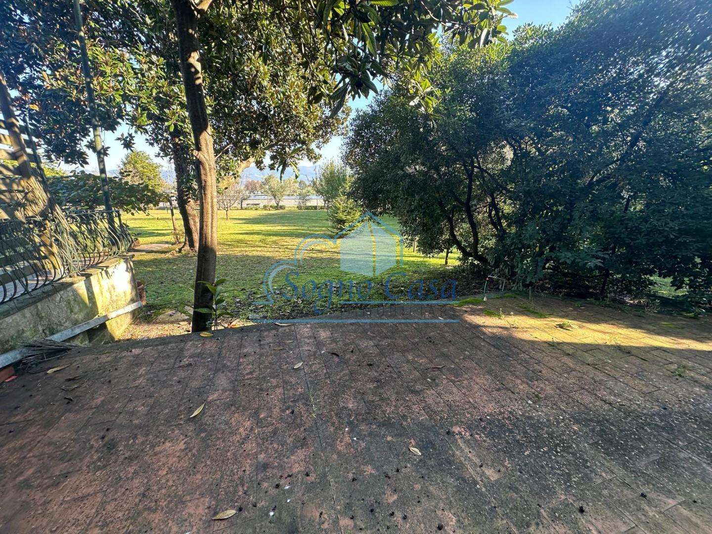  - foto 37