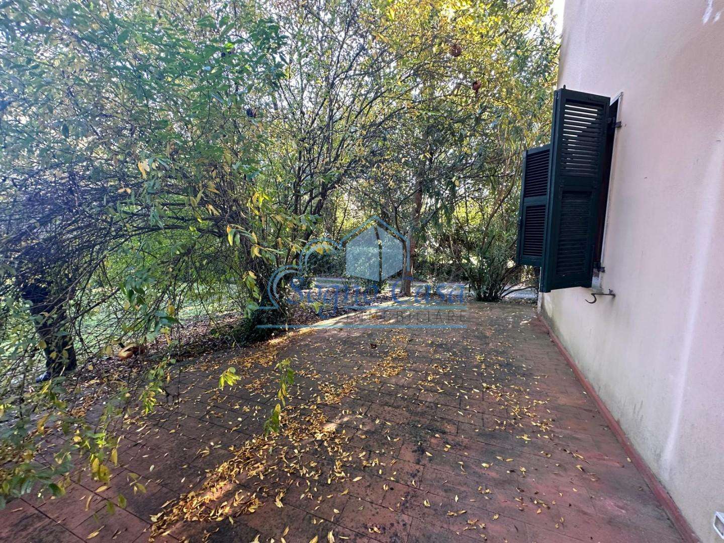  - foto 22
