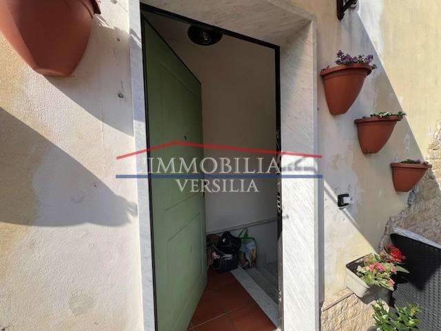  - foto 44