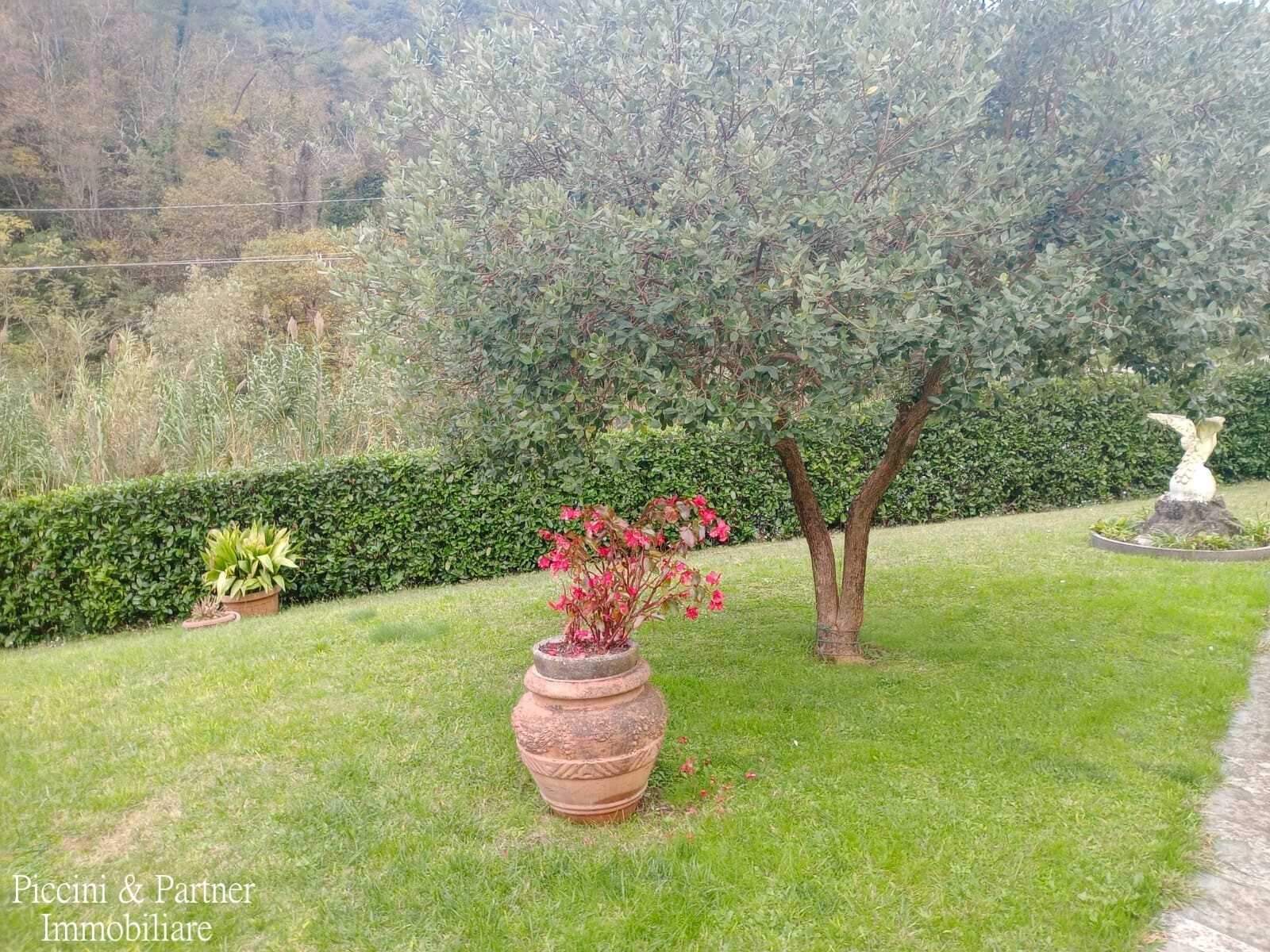  - foto 36