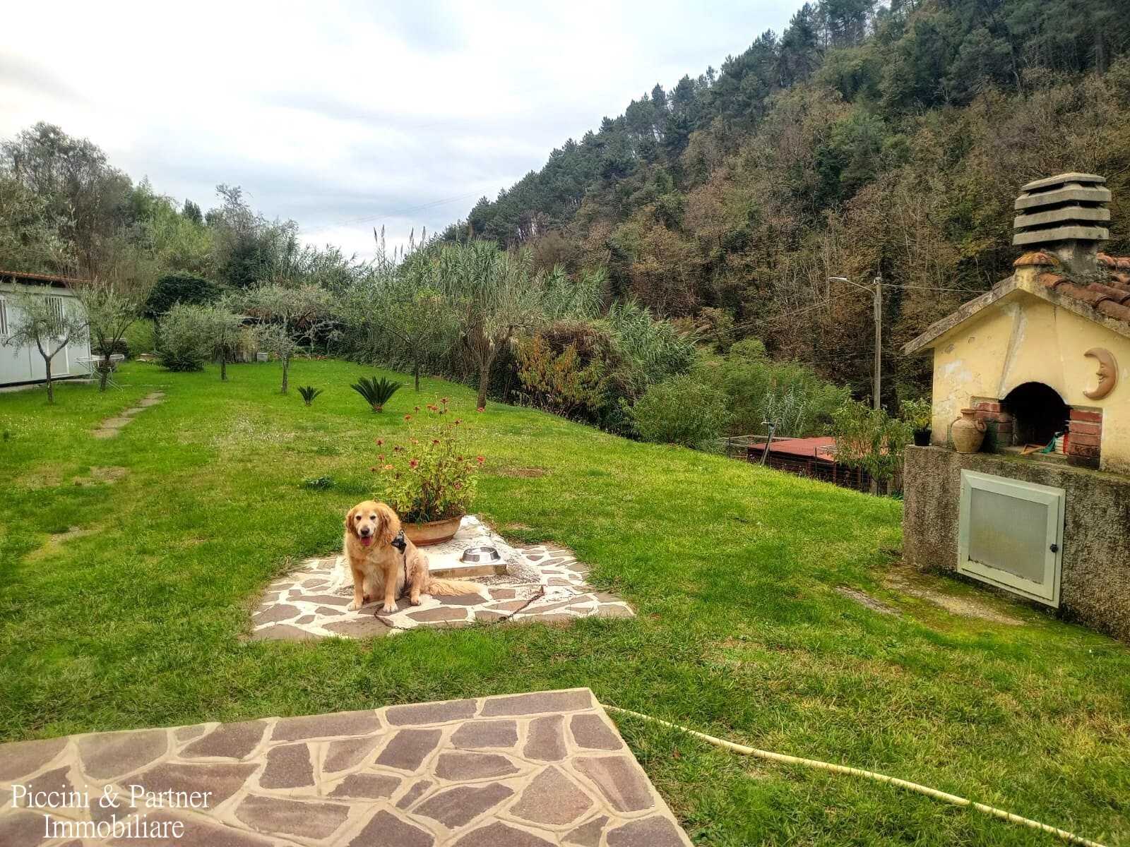  - foto 41