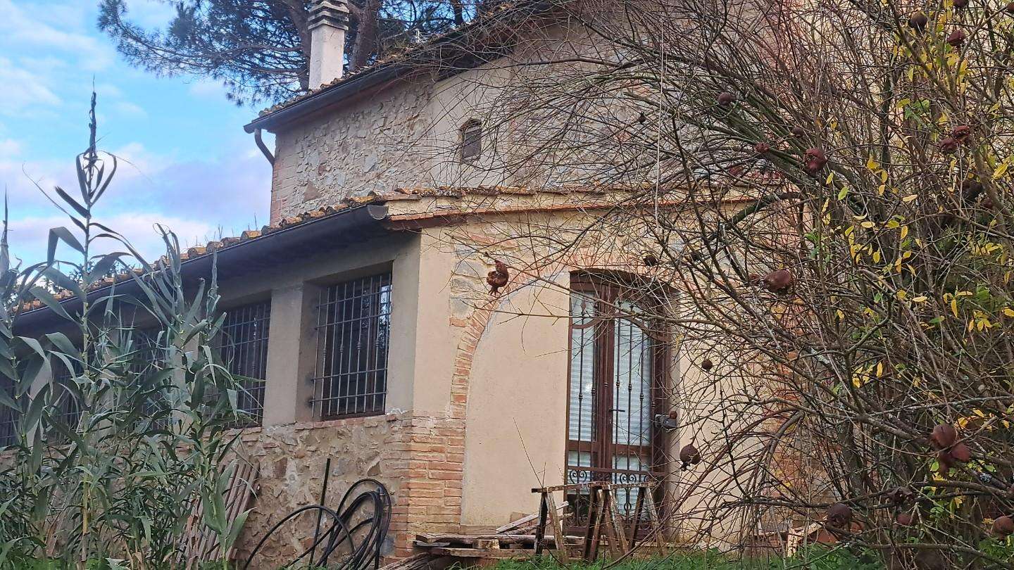  - foto 21