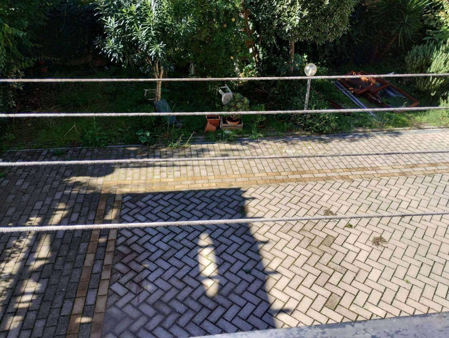  - foto 14