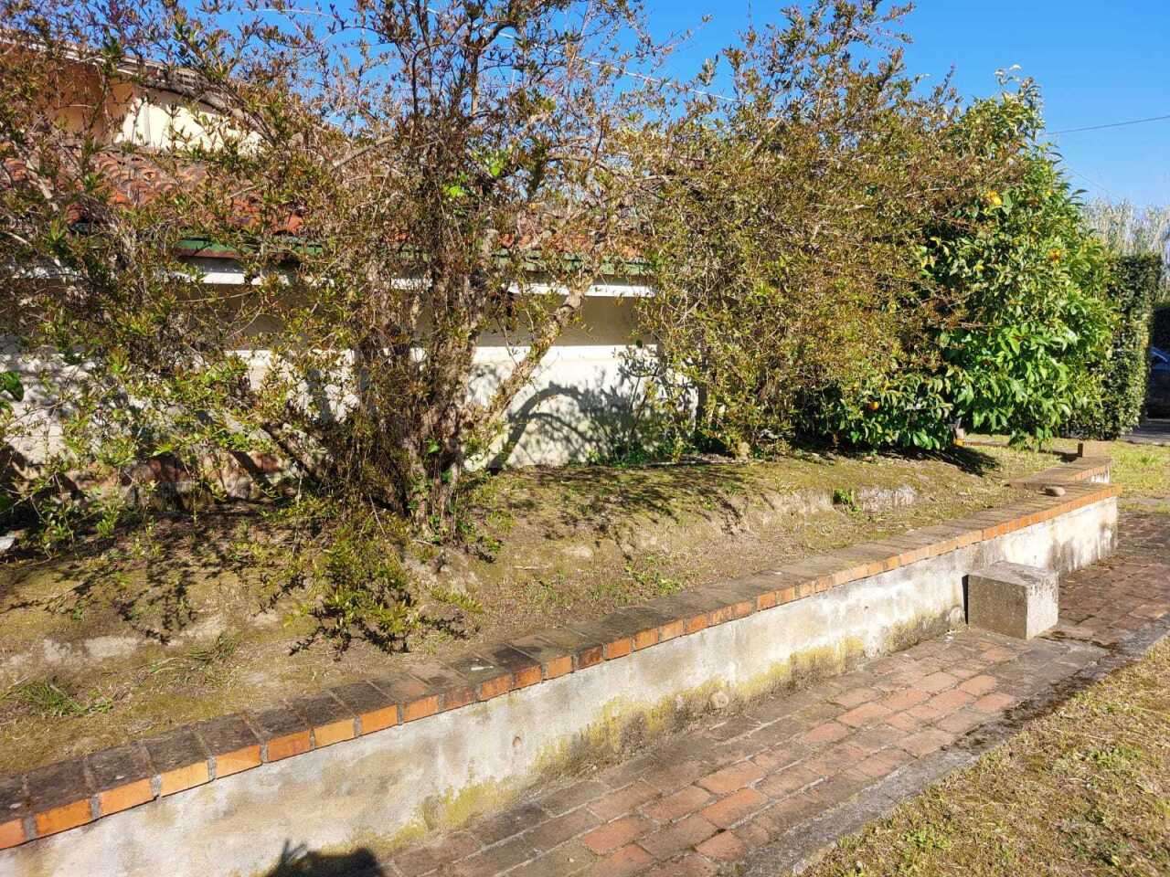  - foto 26