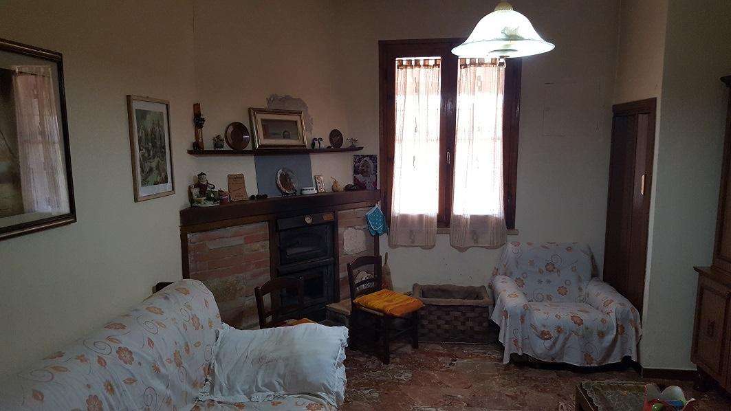  - foto 11