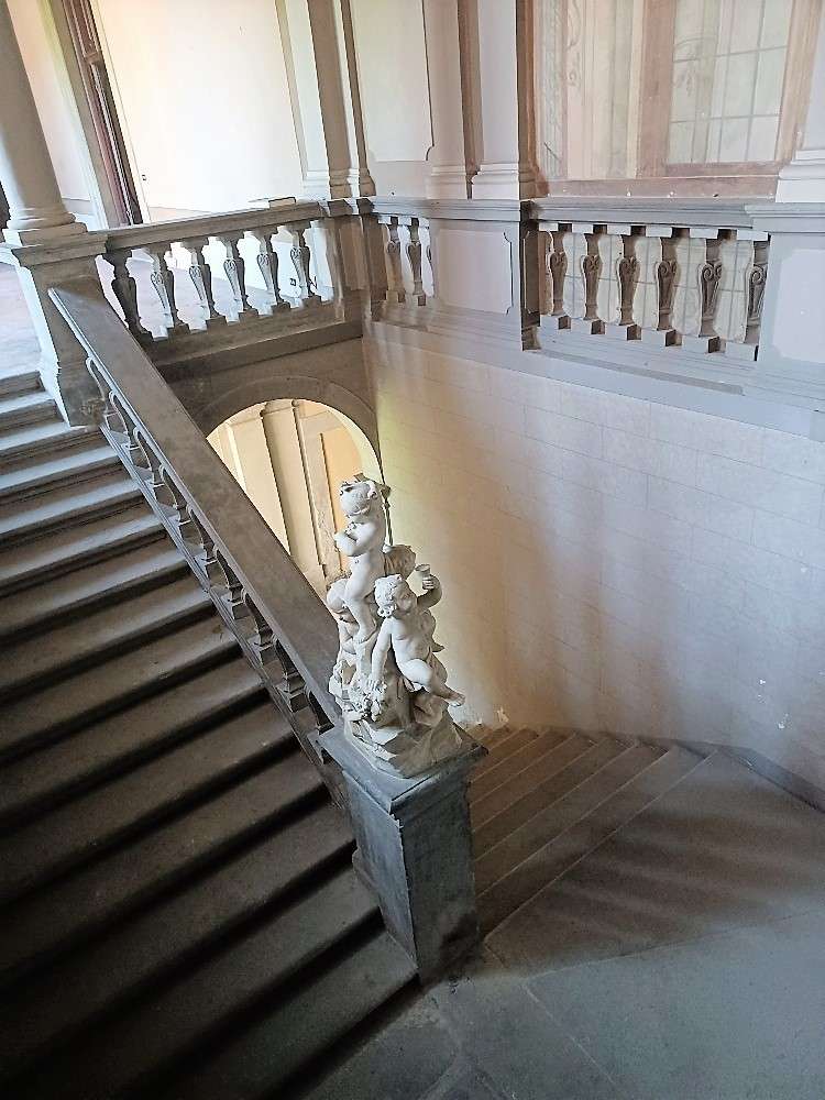  - foto 7