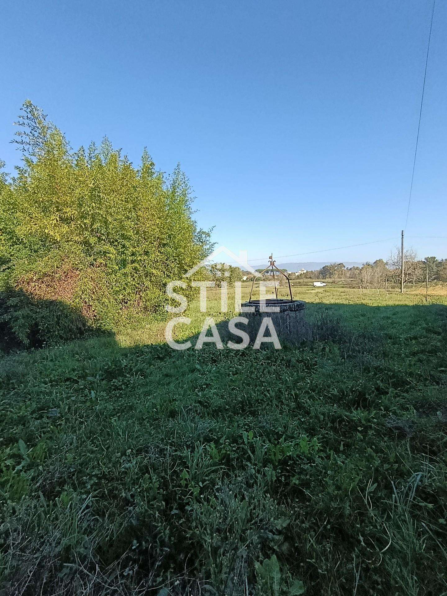  - foto 49