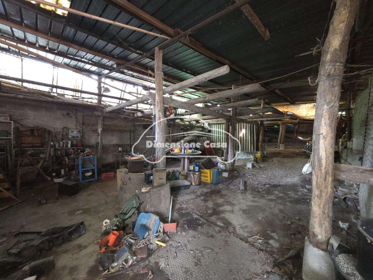  - foto 11
