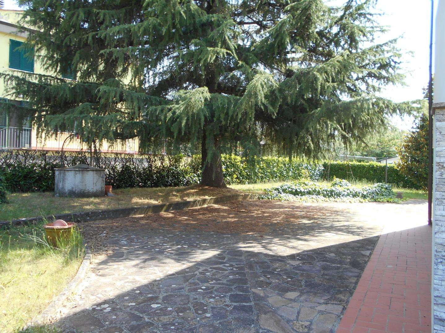  - foto 41