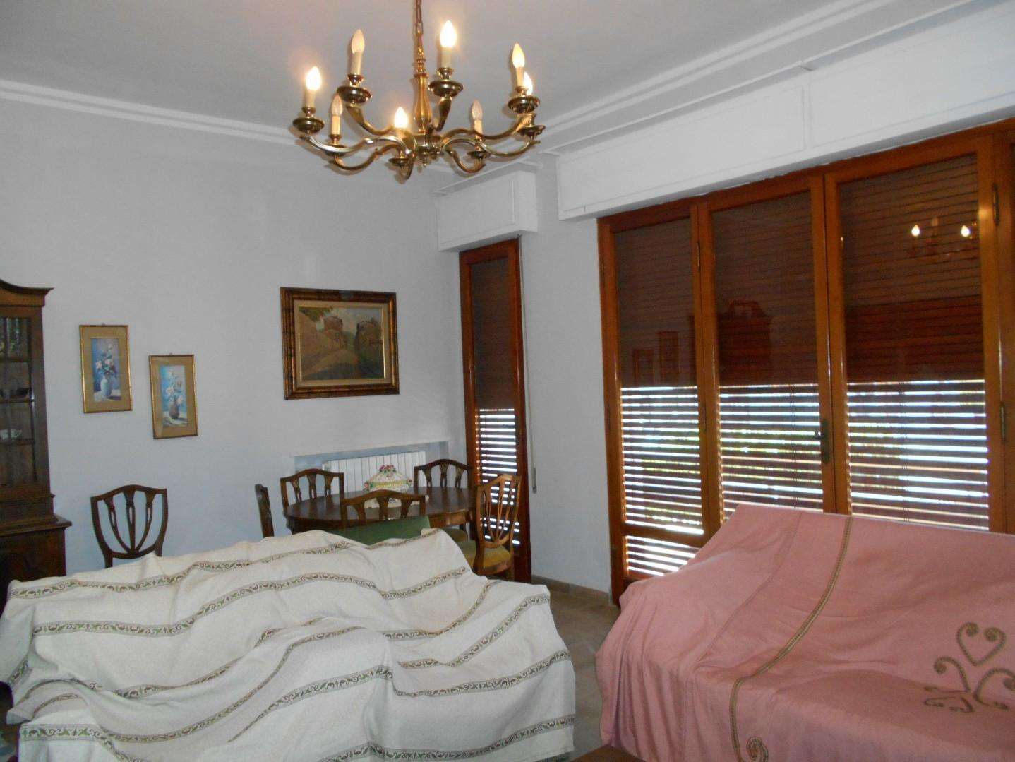  - foto 6