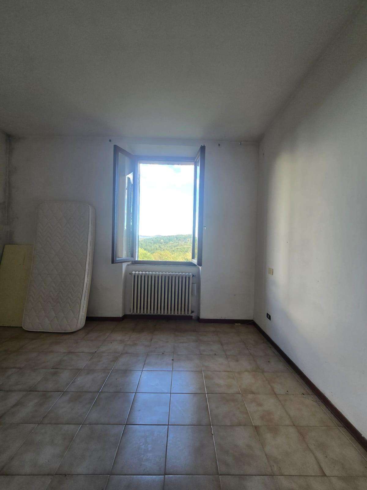  - foto 11