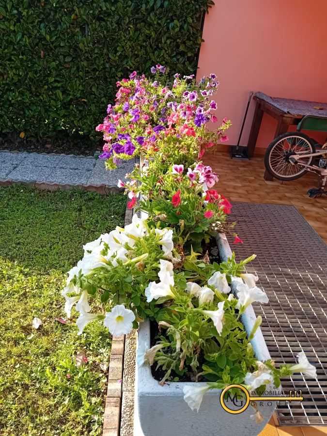  - foto 5